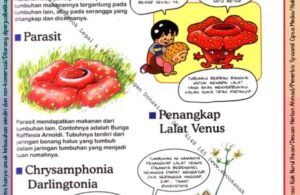 Ebook Legal dan Printable Aku Anak Cerdas Serangga dan Tumbuhan 2, Penangkap Lalat Venus (15)