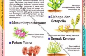Ebook Legal dan Printable Aku Anak Cerdas Serangga dan Tumbuhan 2, Tumbuhan Gurun (16)