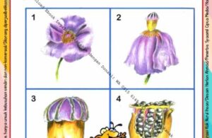 Ebook Legal dan Printable Aku Anak Cerdas Serangga dan Tumbuhan 2, dari Bunga menjadi Biji (18)