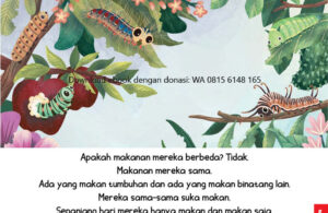 Ebook Sama atau Berbeda5