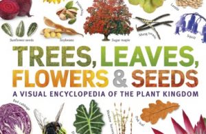 Ebook Trees, Leaves, Flowers and Seeds