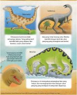 Ensiklopedia Cilik DINOSAURUS pdf_page-0012