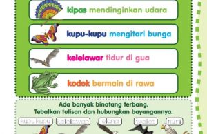 Hari Ke-21 Membaca Kalimat Berawalan Huruf Kk