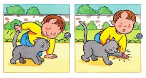 Jangan Memegang Ekor Belakang Kucing