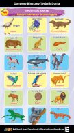 Kamus-Visual-Binatang-Bahasa-Indonesia-Inggris-F