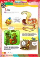 Kebanyakan Ular Memiliki Penglihatan yang Lemah (9)