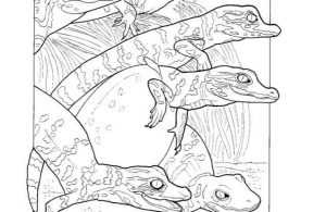 Mewarnai Gambar Keluarga Aligator