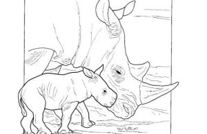 Mewarnai Gambar Keluarga Badak