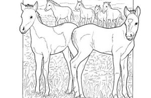 Mewarnai Gambar Keluarga Kuda Poni