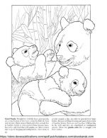 Mewarnai Gambar Keluarga Panda Raksasa