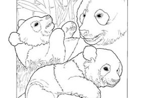 Mewarnai Gambar Keluarga Panda Raksasa