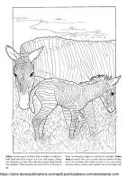 Mewarnai Gambar Keluarga Zebra