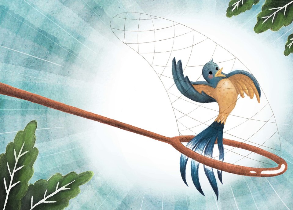 57+ Gambar Burung Murai Kartun Terbaik