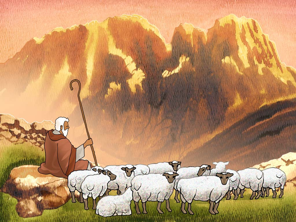Nabi Musa Bekerja Mengurus Hewan Ternak