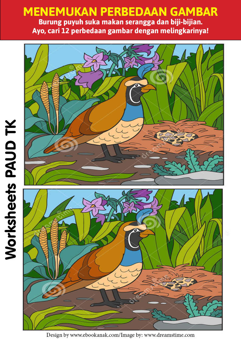 Worksheets Mencari Perbedaan 12 Gambar Burung Puyuh