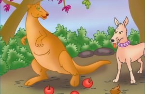 anjing-suka-mengejar-kanguru-cerita-binatang-dari-papua-nugini2-950x1024