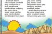 baca buku online aku cinta rasul kisah teladan 25 nabi dan rasul jilid 317 Siapa Nama Nabi yang Diutus Kepada Kaum Madyan yang Curang dalam Jual Beli