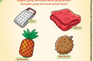 Mengenal Benda Kasar dan Benda Lembut