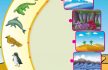baca buku online, buku aktivitas anak jenius TK A B_037 mengenal tempat tinggal hewan