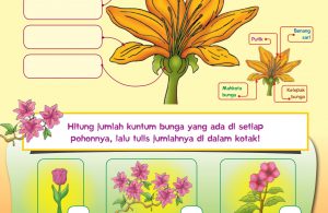 baca buku online, buku aktivitas anak jenius TK A B_062 mengenal gambar bagian-bagian bunga