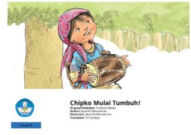 chipko mulai tumbuh
